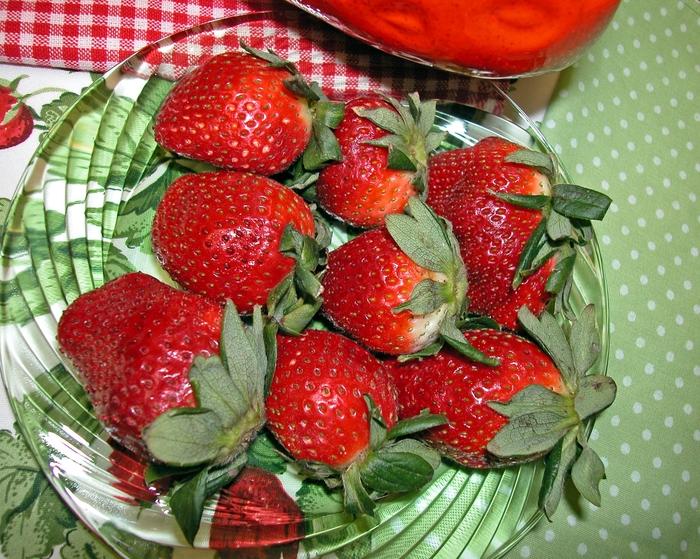 Fragaria Ozark Beauty